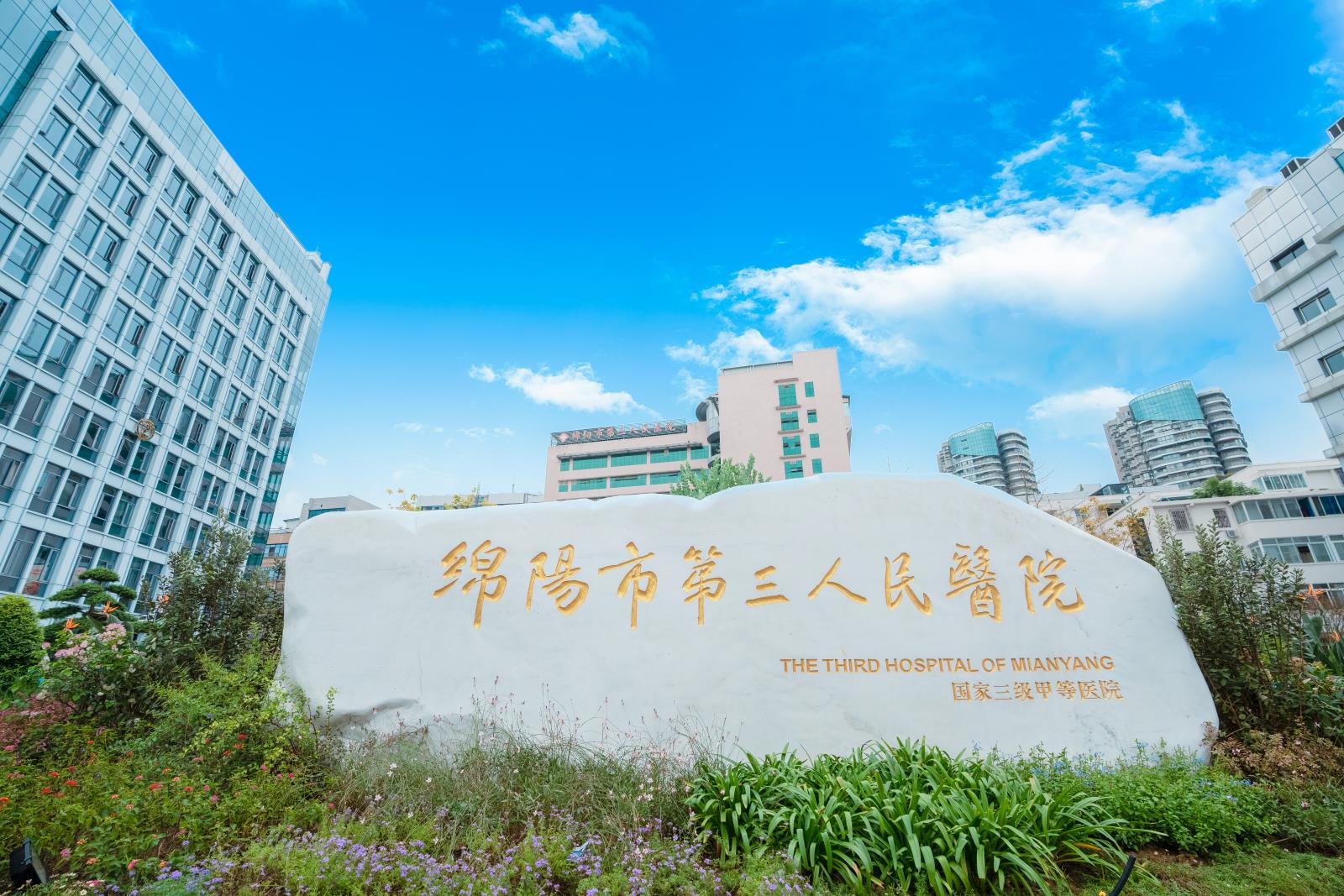 患者送锦旗对重症精神二科表达感谢