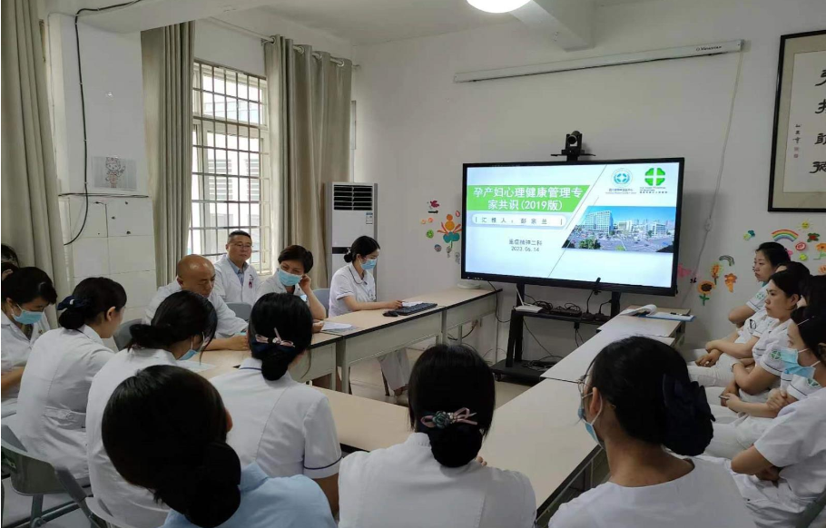 重症精神二科开展“孕产妇心理健康管理”一科一品党建活动