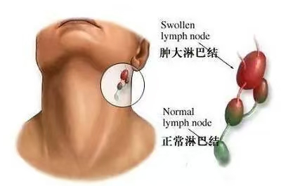 微信图片_20250305202702.jpg