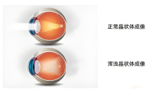 白1.jpg