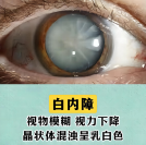 白3.jpg