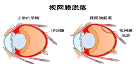 网1.jpg