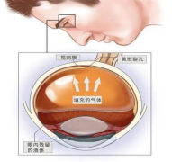 网2.jpg