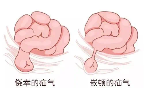 微信图片_20250520221001.png