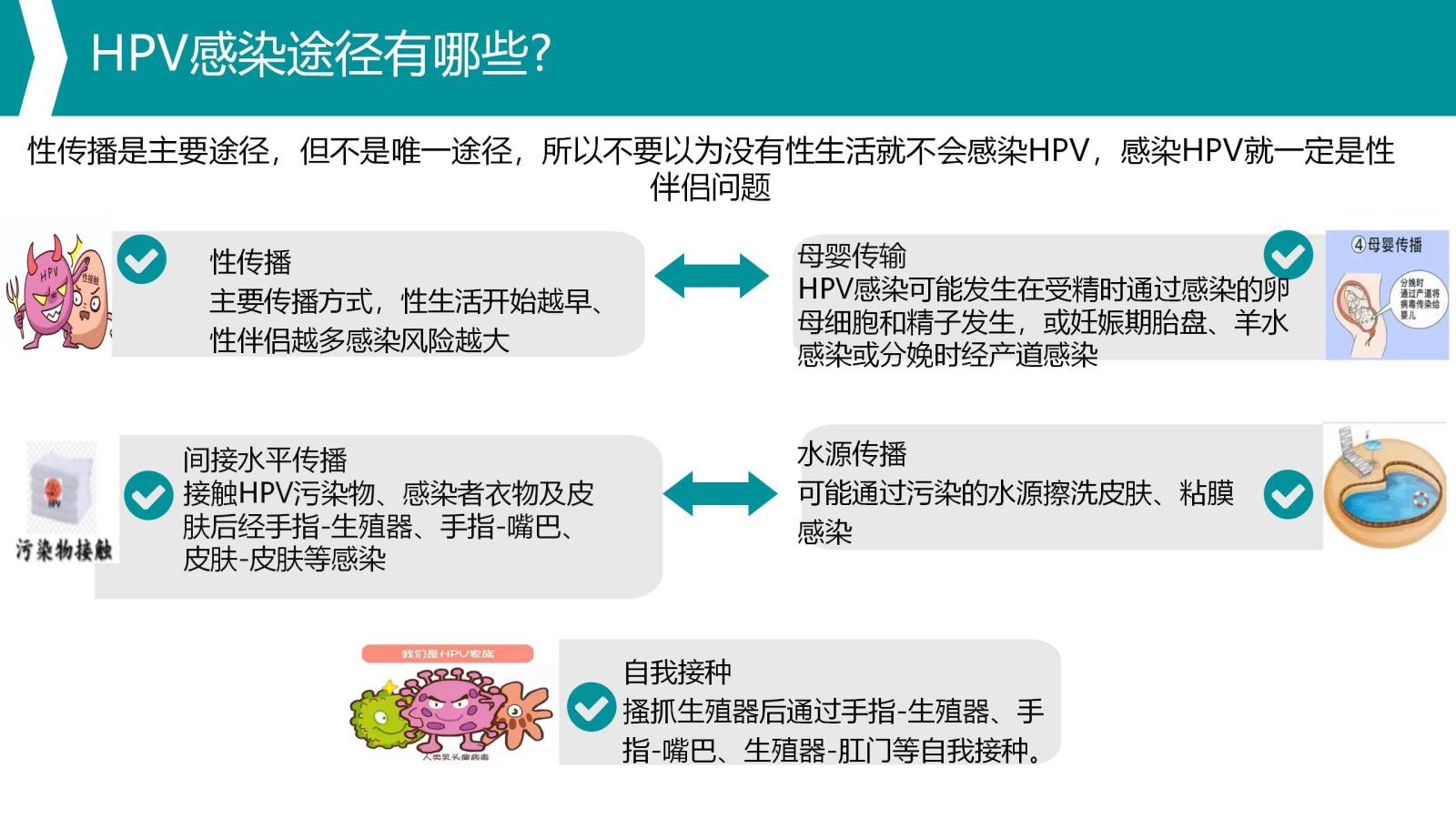 HPV科普_04.jpg
