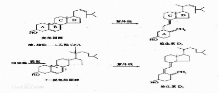 6a0e454c-d213-402f-8d7d-dffd6f6aaff2.png