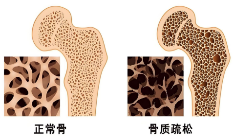 37f50287-2647-44d4-8428-b1887cb841e3.png